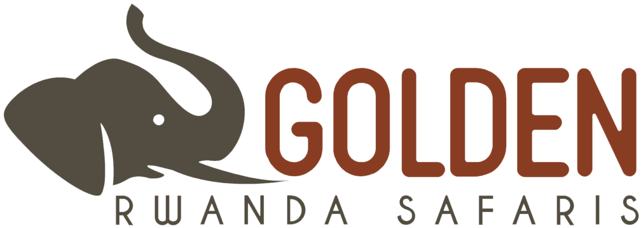 Best Tour Company in Rwanda | Golden Rwanda Safaris