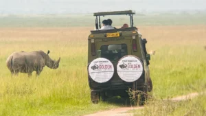 Escape the ordinary and discover the heart of Africa with Golden Rwanda Safaris