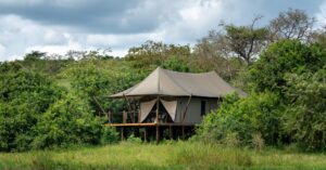 4-Day Luxury Magashi Tented Safari in Akagera National Park