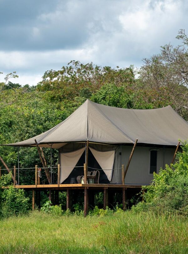 4-Day Luxury Magashi Tented Safari in Akagera National Park