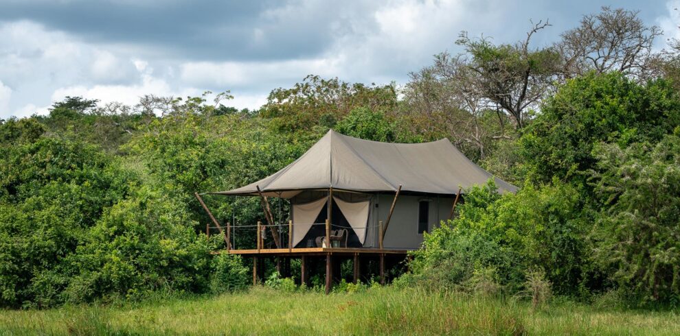 4-Day Luxury Magashi Tented Safari in Akagera National Park