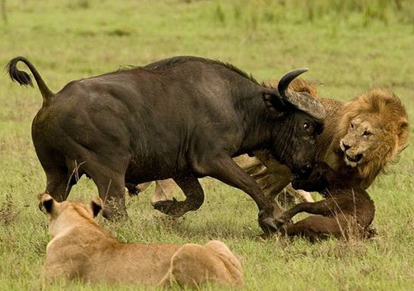 7-Day Rwanda Ultimate Adventure