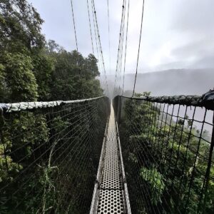 9-Day Rwanda chimpanzee and Gorilla Adventure