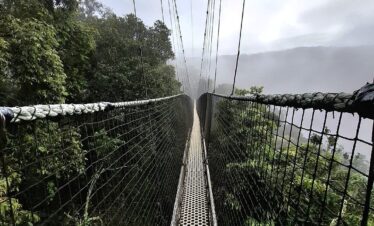 9-Day Rwanda chimpanzee and Gorilla Adventure