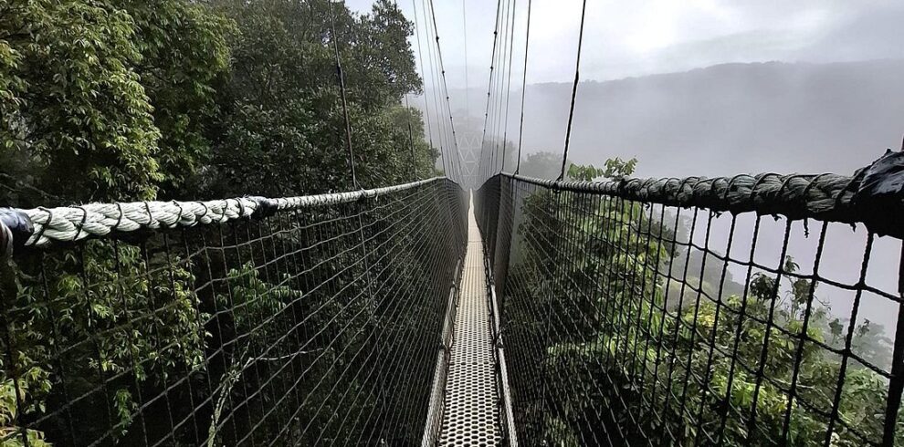 9-Day Rwanda chimpanzee and Gorilla Adventure