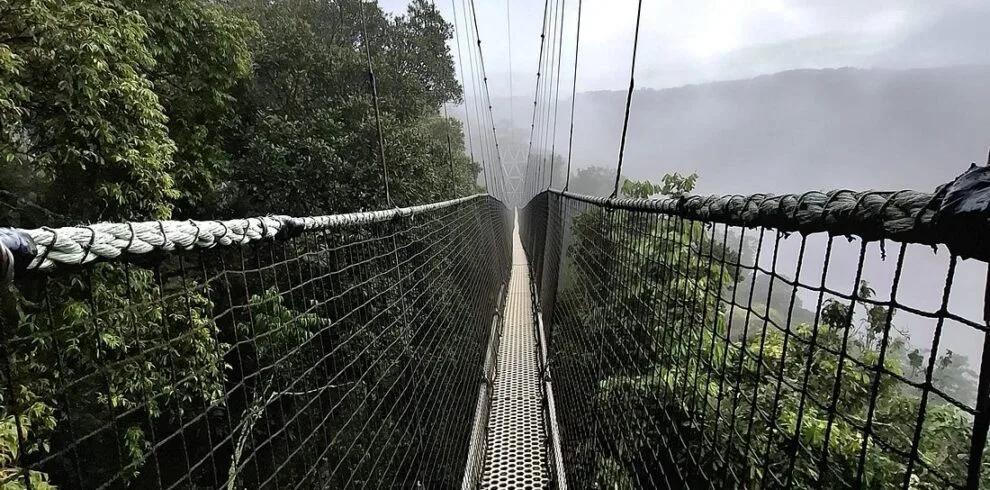 9-Day Rwanda chimpanzee and Gorilla Adventure