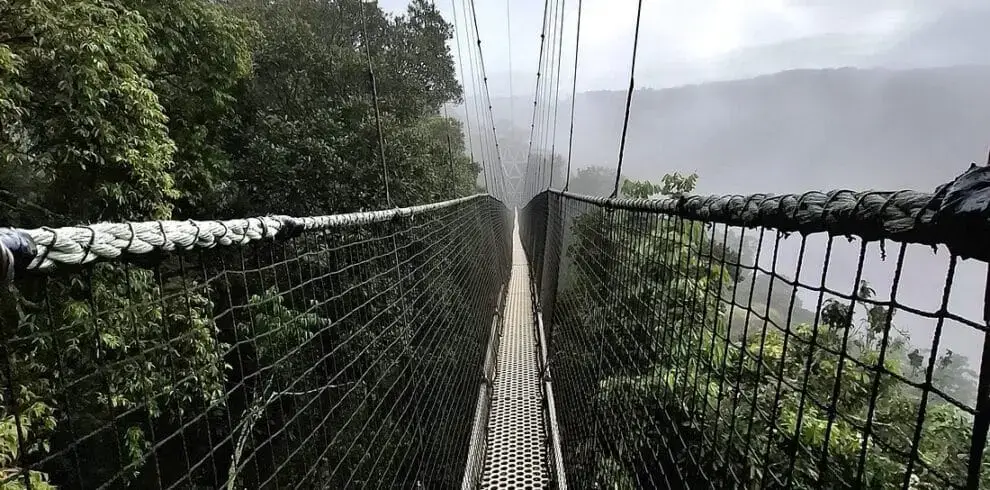 9-Day Rwanda chimpanzee and Gorilla Adventure