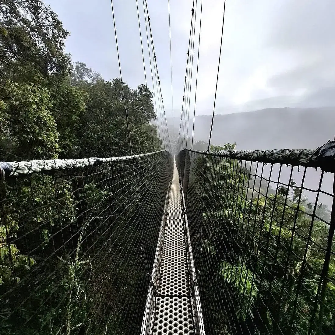 9-Day Rwanda chimpanzee and Gorilla Adventure