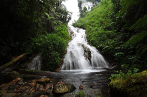 Bwindi Impenetrable National Park