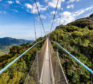 Canopy Walk in Nyungwe