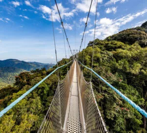Canopy Walk in Nyungwe