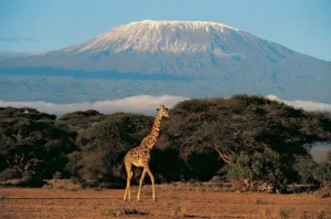 Mount-Kilimanjaro-Tanzania