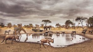 Tarangire National Park