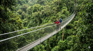 Active & Adventure Activities