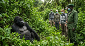 Primate & Wildlife Tracking