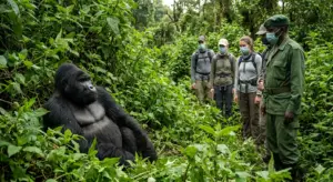 Primate & Wildlife Tracking